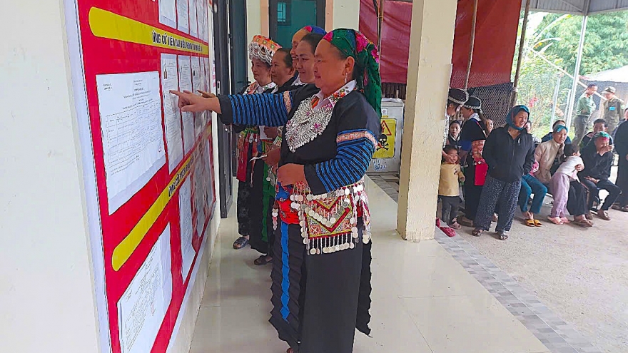 Các khu vực bầu cử sớm ở Nghệ An có 99,62% cử tri bỏ phiếu