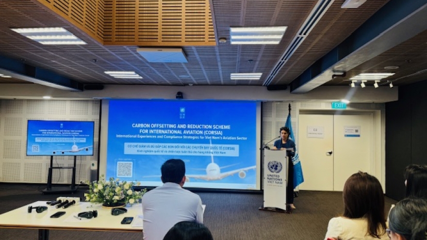 Technical meeting on CORSIA highlights roadmap for Vietnam’s aviation sector