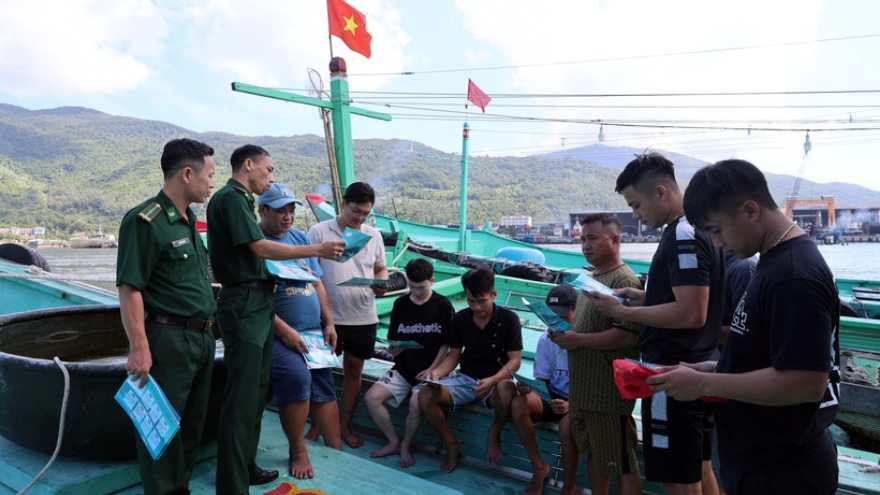 Fishing solidarity groups help Vietnam with IUU “yellow card” warning removal