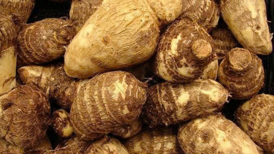 Ít ai biết khoai sọ mang lại 8 lợi ích bất ngờ cho sức khỏe