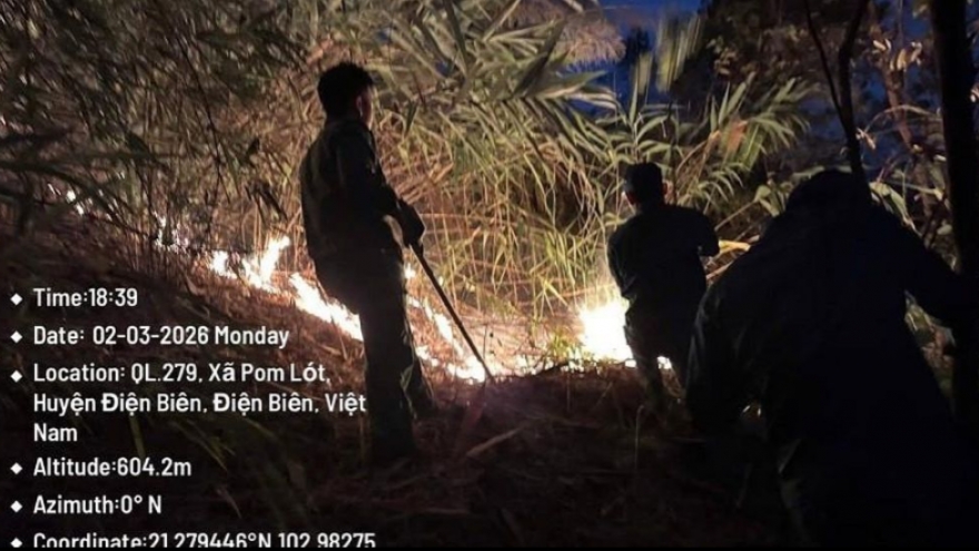 Điện Biên cảnh báo nguy cơ cháy rừng cấp cực kỳ nguy hiểm