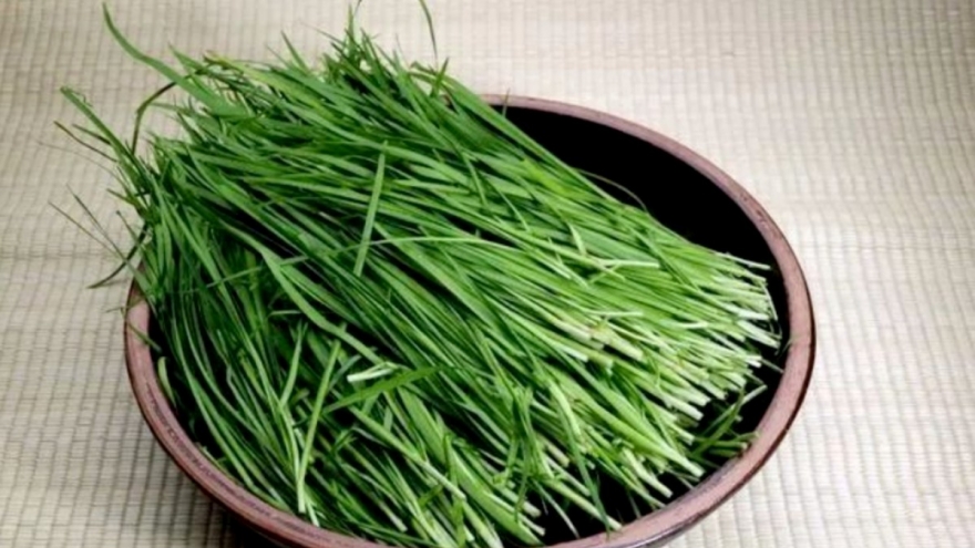 Cây thuốc Việt ăn vào bổ thận dưỡng tim, cứ ra chợ là thấy mà ít người biết