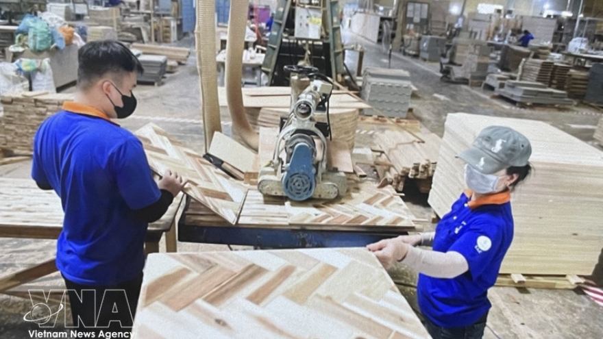 Vietnamese businesses ride wave of investment in green manufacturing