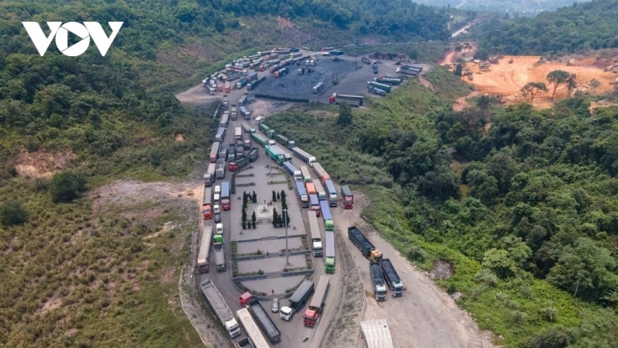 Tạm ngưng thi hành Nghị định 46 về an toàn thực phẩm