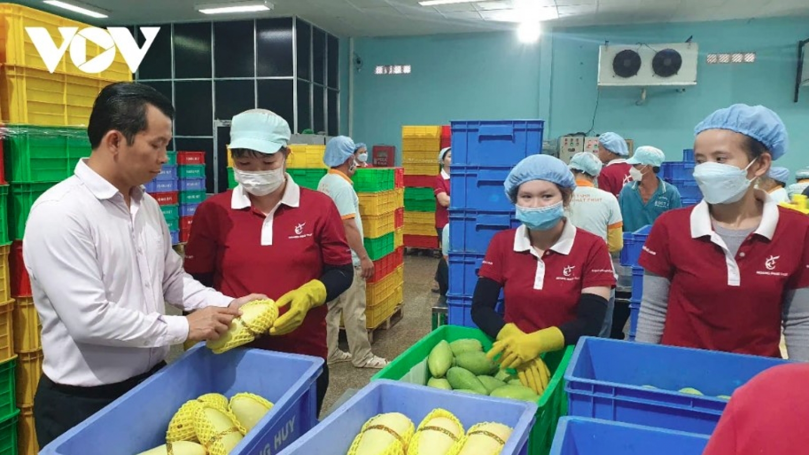 Fruit and vegetable exports hit US$1.48 billion in first quarter