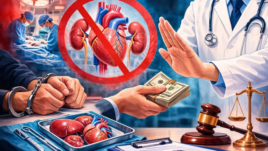 Bộ Y tế chỉ đạo ngăn chặn hành vi mua bán, chiếm đoạt mô, tạng