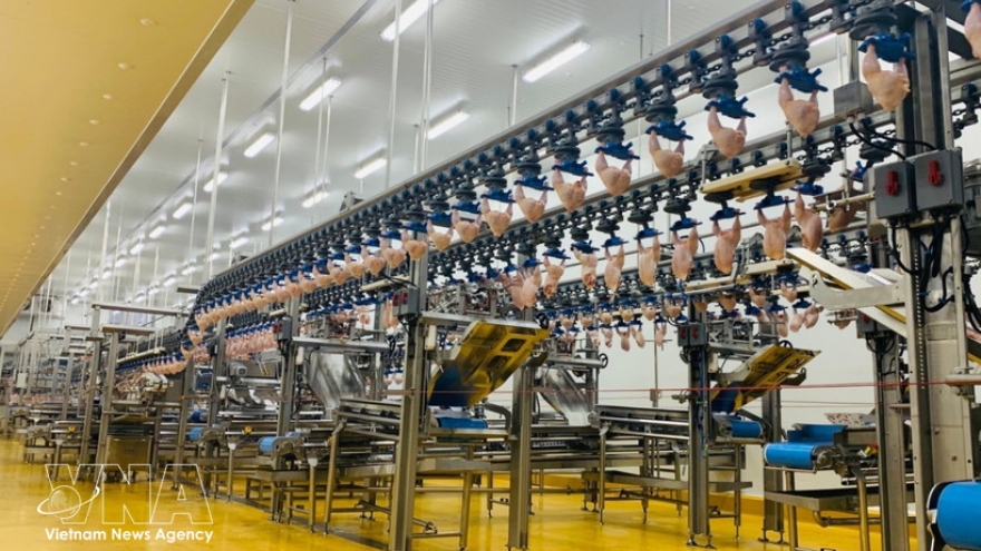 Domestic market emerges as strategic pillar amid global turmoil