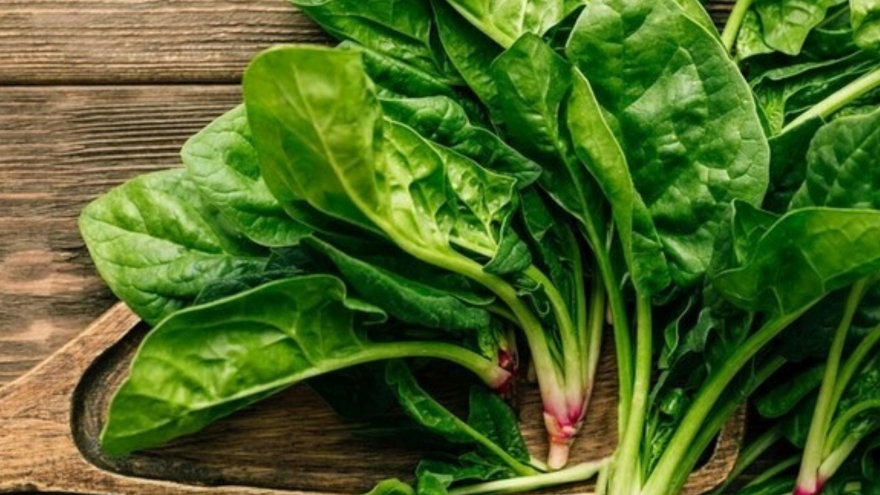 Rau chân vịt cực tốt cho sức khỏe nhưng không nên ăn quá nhiều