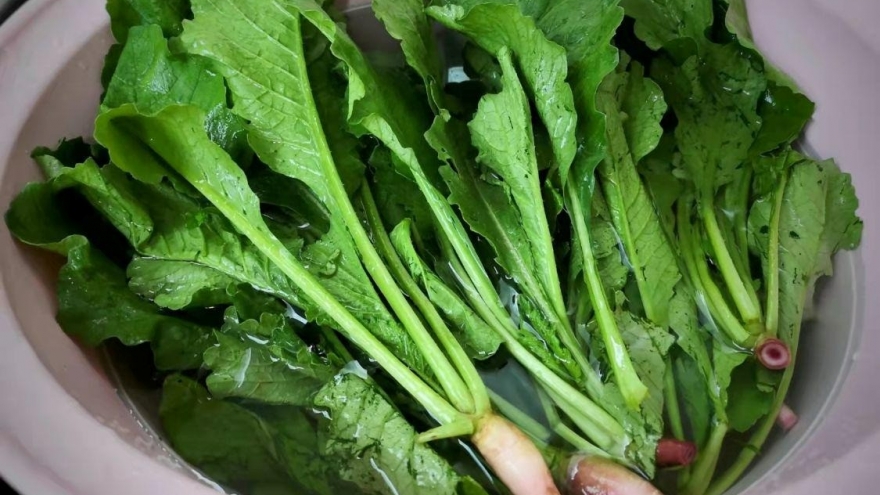 Loại lá rẻ như cho người Việt thường bỏ đi lại là “thuốc quý” siêu bổ dưỡng