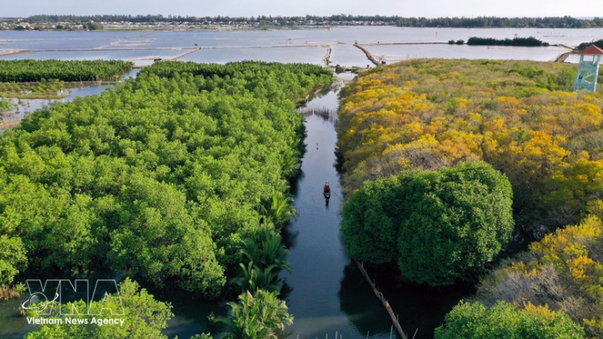 Hue sets sights on becoming Vietnam’s leading green tourism city