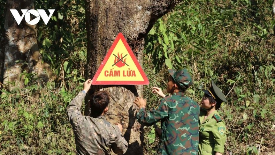 Nắng nóng gay gắt cục bộ, Sơn La tăng cường phòng, chống cháy rừng