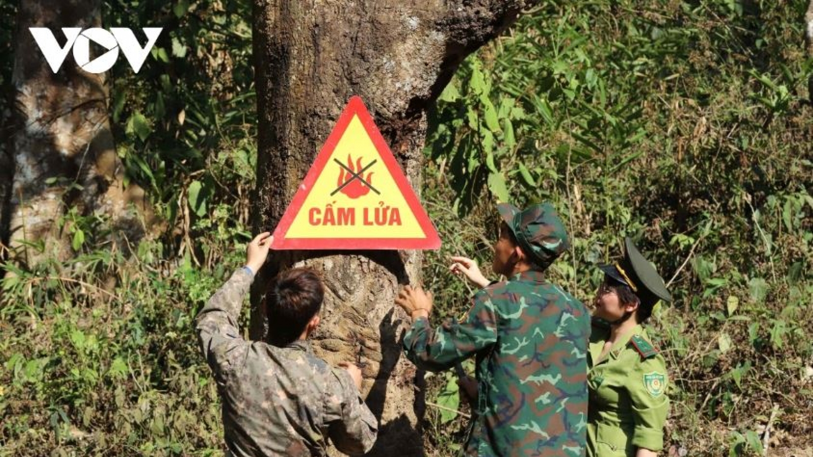 Nắng nóng gay gắt cục bộ, Sơn La tăng cường phòng, chống cháy rừng