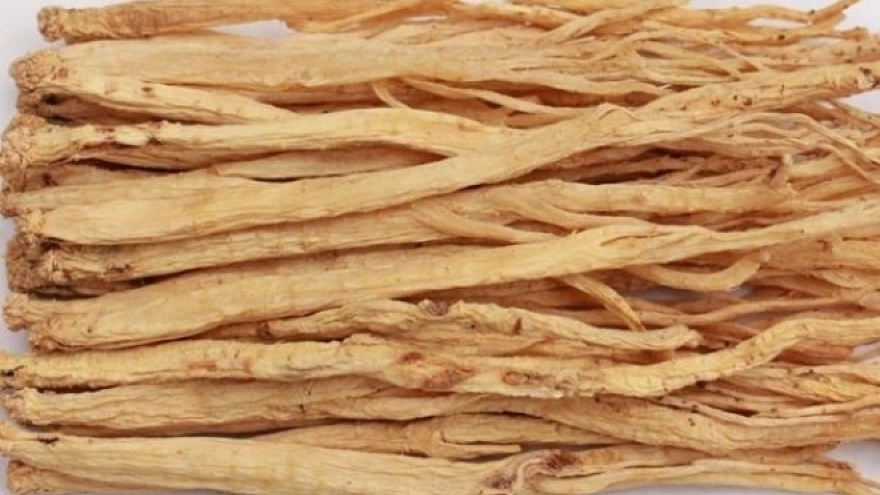 Việt Nam có “vị thuốc đại bổ”, dùng thường xuyên nâng tầm sức khỏe ít người biết