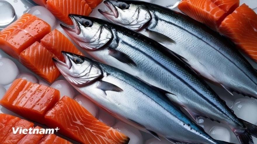 Vietnam becomes fastest growing market for Norwegian salmon in Southeast Asia