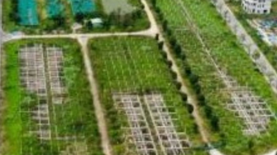 Điều tra mở rộng vụ lừa đảo mua bán đất nền "dự án" tại Công ty Đại Phúc Real