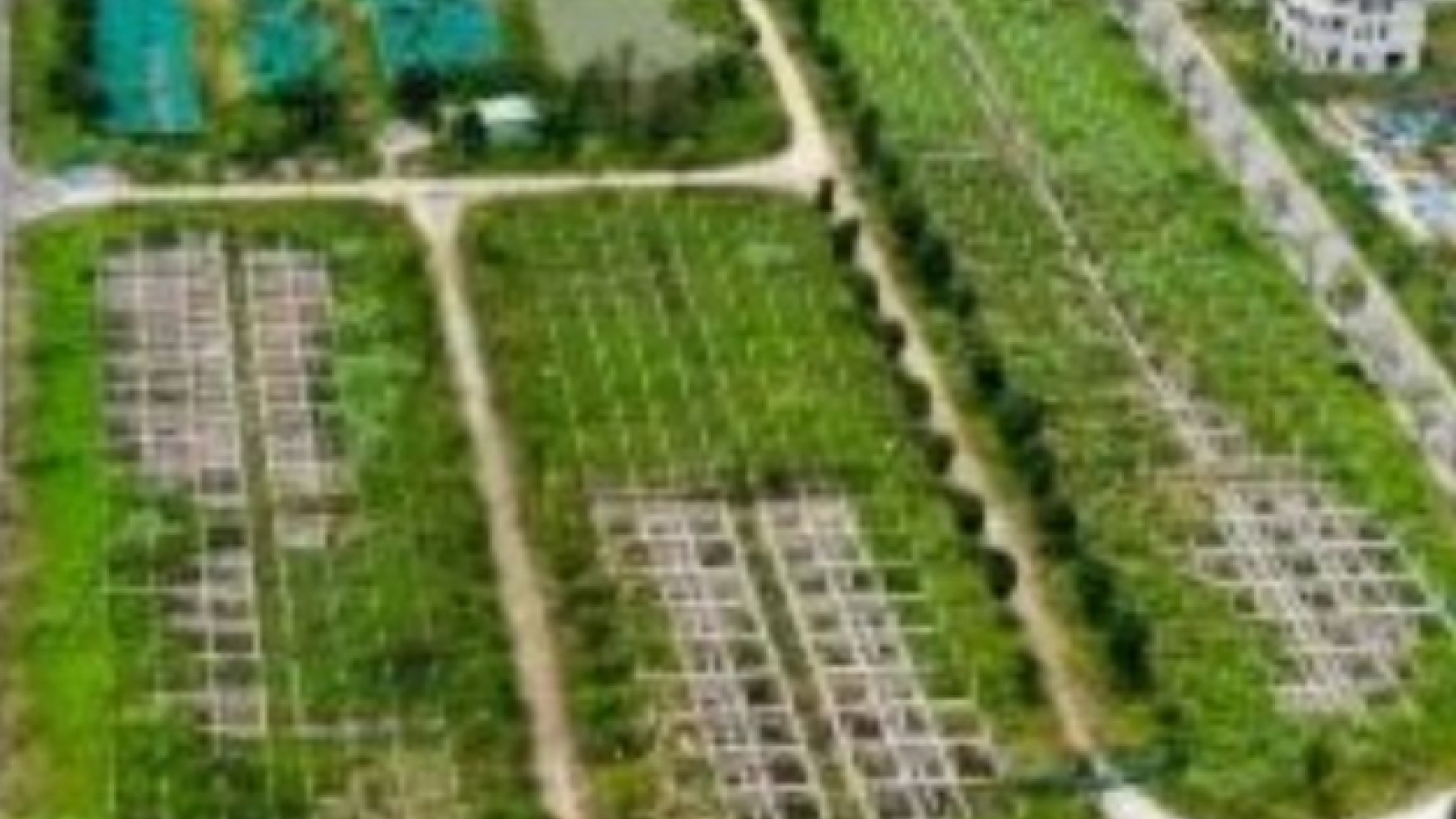 Điều tra mở rộng vụ lừa đảo mua bán đất nền "dự án" tại Công ty Đại Phúc Real