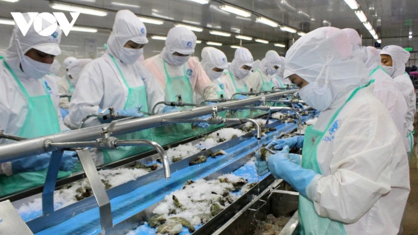 Seafood sector urged to transform for long-term export competitiveness