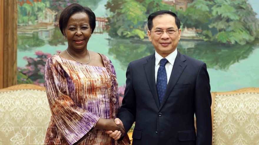 Vietnam values cooperation with OIF: Deputy PM