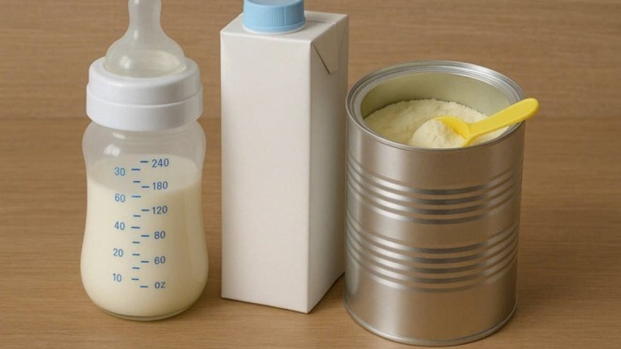 Thu hồi nhiều lô sữa công thức: Cảnh báo rủi ro từ vi khuẩn Bacillus cereus