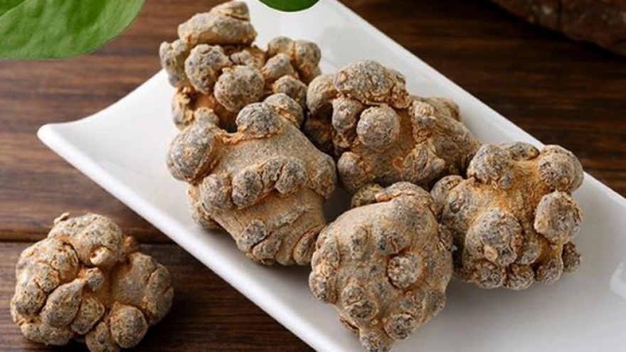 Củ cây tam thất có tác dụng gì?