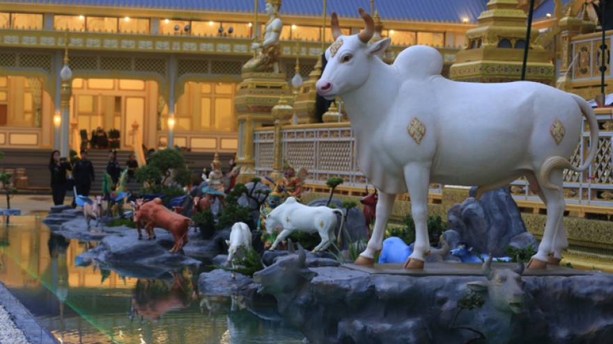 Tại sao người Thái Lan hầu như không ăn thịt bò?