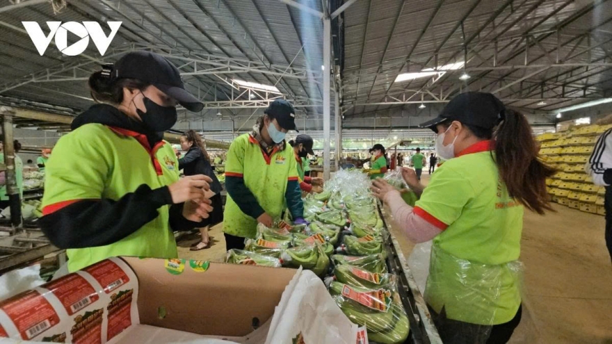 Thực phẩm “sạch”, hiểu sao cho đúng?