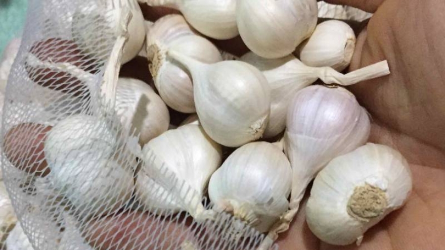 Mẹo bảo quản hành tím, tỏi khô để cả năm vẫn thơm ngon