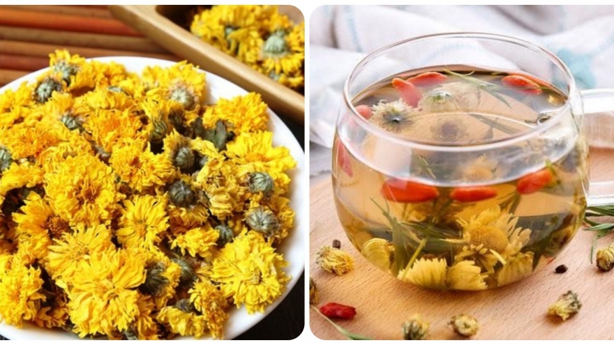 Uống trà hoa cúc có tốt như lời đồn? Uống vào lúc nào tốt nhất
