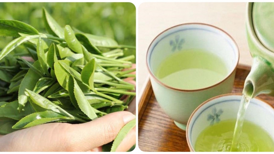 Uống nước trà xanh tốt cho sức khỏe, nhưng những thời điểm này không nên uống