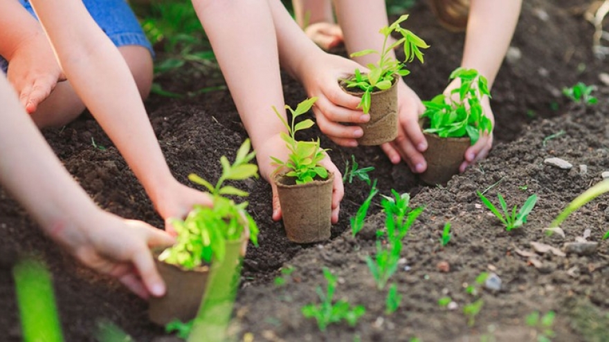 Sơn La triển khai kế hoạch trồng gần 100ha rừng thay thế