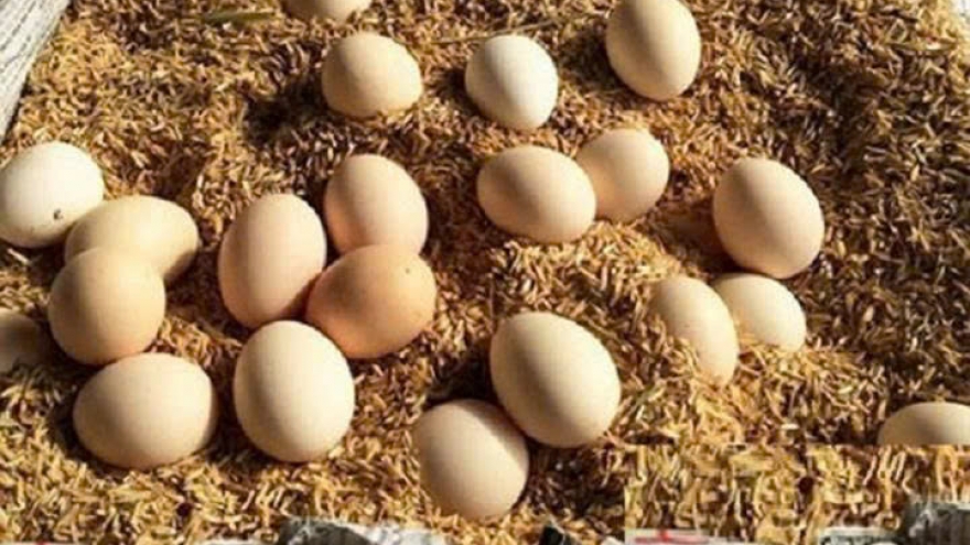 Không cần tủ lạnh vẫn giữ trứng gà tươi lâu - Mẹo đơn giản ít người biết