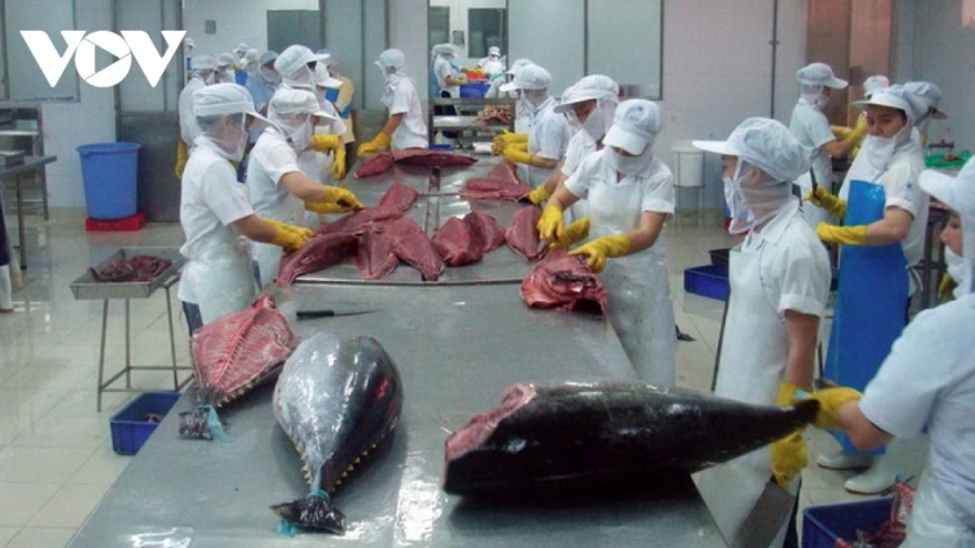 Flexible market shifts help sustain tuna exports in early 2026