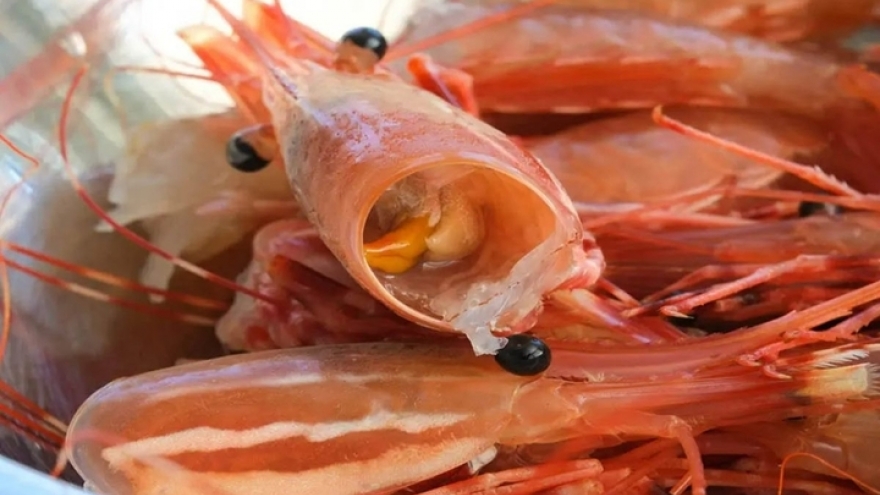 Ăn vỏ tôm có thật sự giàu canxi như nhiều người vẫn nghĩ?