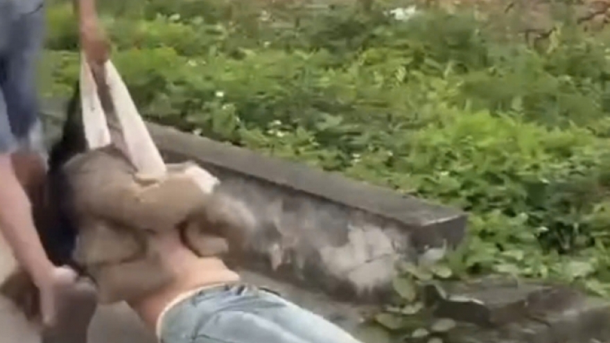 Vụ kéo lê bạn gái trên đường ở Hải Phòng: Góc nhìn pháp lý từ luật sư