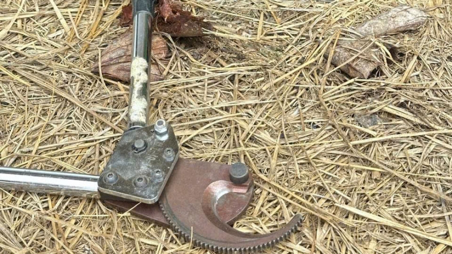 Người đàn ông ở Đồng Nai tử vong khi dùng sào sắt tự chế chạm vào điện trung thế