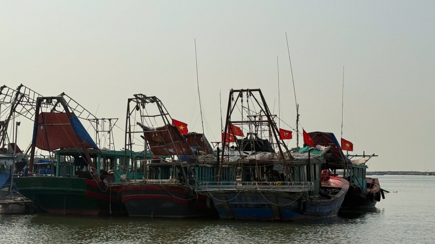 Quảng Ninh siết chặt quản lý, không để phát sinh vi phạm khai thác IUU