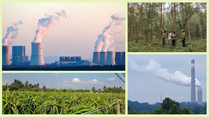 Thị trường các-bon: Việt Nam đã “mở sân”,  vận hành thị trường nằm ở doanh nghiệp