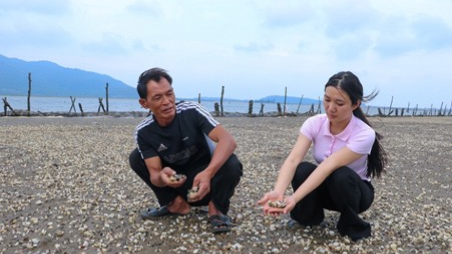 Ngao chết bất thường, gây thiệt hại nặng nề cho người nuôi ngao ở Hà Tĩnh