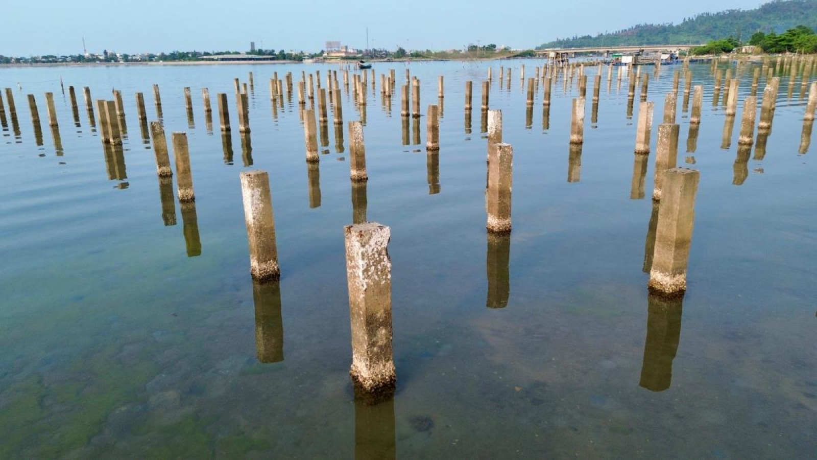 Bãi cọc bê-tông “ám ảnh” đầm Lập An, Huế gần hai thập kỷ