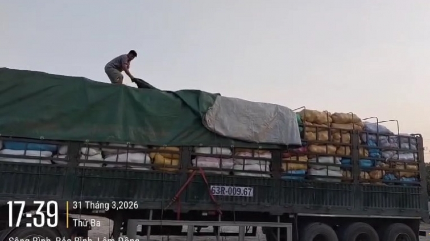 Xe chở quá khổ trên cao tốc Phan Thiết - Vĩnh Hảo bị xử phạt hơn 40 triệu đồng