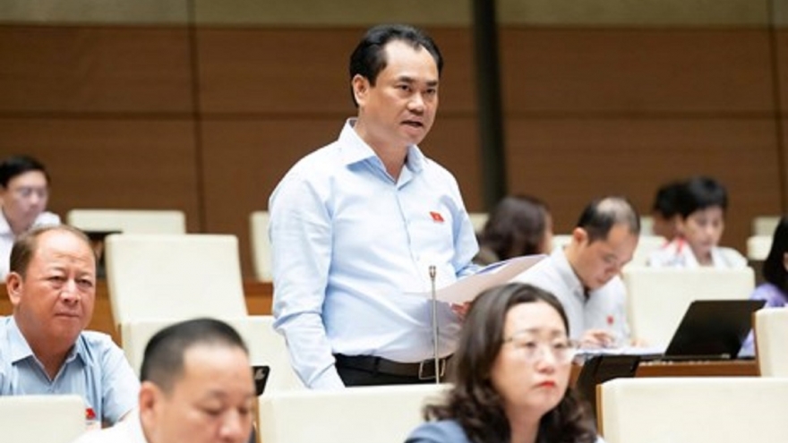 Bộ trưởng Trịnh Việt Hùng: Sẽ điều chỉnh quy hoạch rừng và đất lúa phù hợp thực tiễn