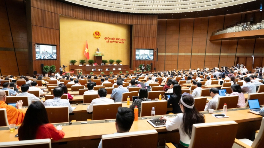 Đề xuất miễn phí các dịch vụ văn hóa thể thao ngày Văn hóa Việt Nam 24/11