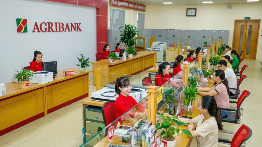 Agribank phát huy vai trò chủ lực trong hỗ trợ tăng trưởng kinh tế