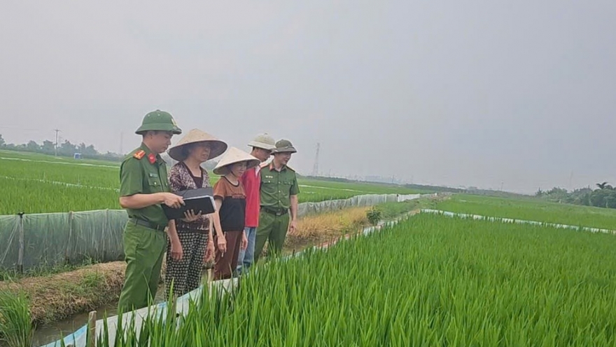 Liên tiếp xảy ra các vụ chết người do giăng điện bẫy chuột