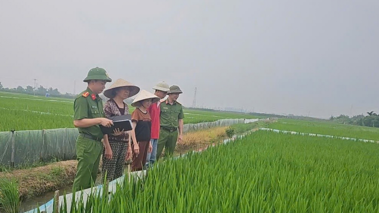 Liên tiếp xảy ra các vụ chết người do giăng điện bẫy chuột
