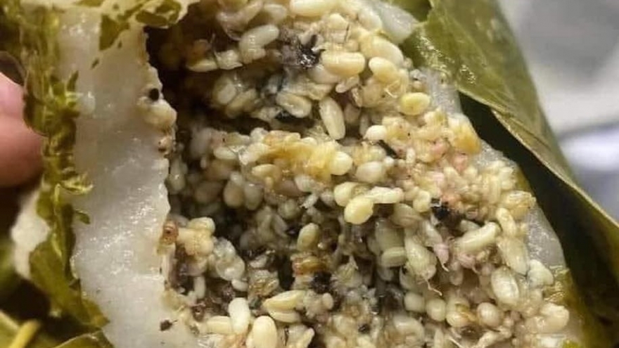 Món ăn bánh trứng kiến vào mùa, tuy nhiên có thể gây dị ứng, sốc phản vệ tùy người