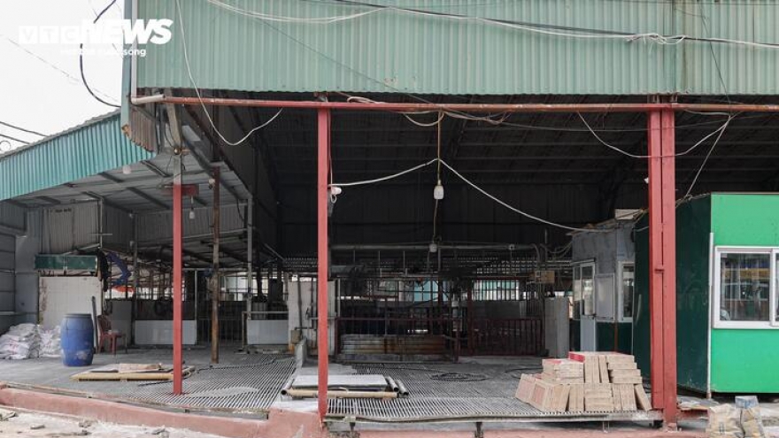 Cận cảnh lò mổ tuồn gần 300 tấn lợn bệnh vào trường học, chợ đầu mối ở Hà Nội
