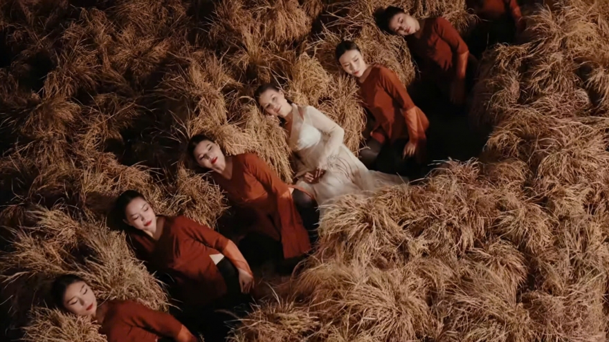 “Lúa chín nhưng không cúi đầu” vấp tranh luận gay gắt, nhạc sĩ sửa lời