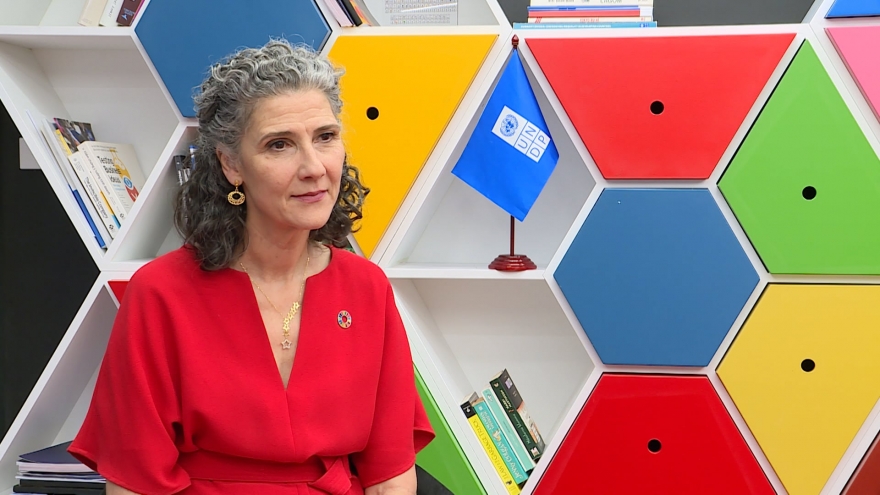 UNDP đồng hành cùng Việt Nam trong chặng đường phát triển mới