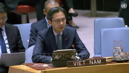 Vietnam pledges action on gender equality, ending violence against women